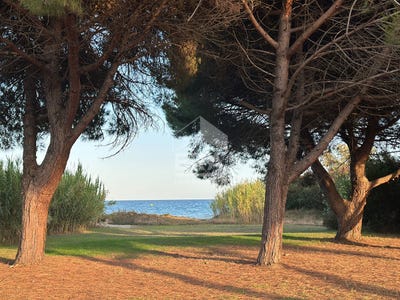 /international/fr/poggio-mezzana-corsica-310106839164/