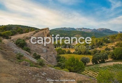 /international/fr/beaumes-de-venise-provence-alpes-cote-d-azur-310098768220/