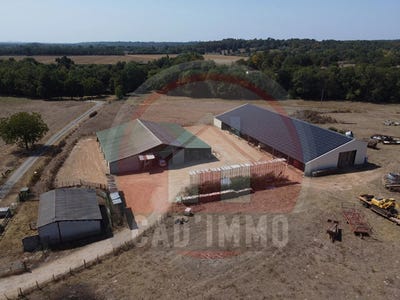 /international/fr/mussidan-aquitaine-310102677924/