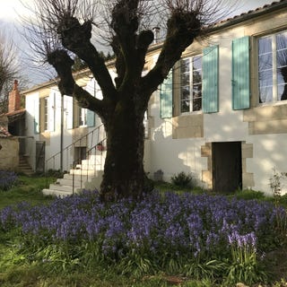/international/fr/chaille-les-marais-pays-de-la-loire-310100489360/