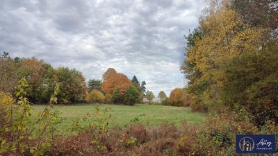 /international/fr/neuvic-aquitaine-310103248681/