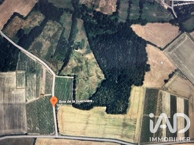 /international/fr/saint-lumine-de-clisson-pays-de-la-loire-310109043141/