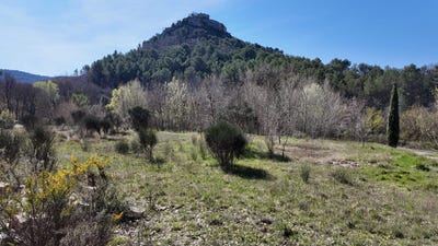/international/fr/entrechaux-provence-alpes-cote-d-azur-310109022099/