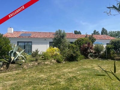 /international/fr/l-ile-d-olonne-pays-de-la-loire-310108566274/