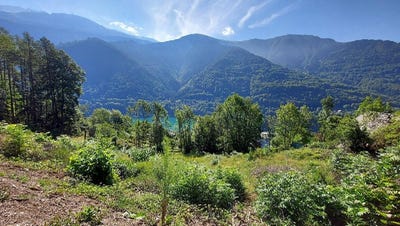 /international/fr/allemond-rhone-310093894984/
