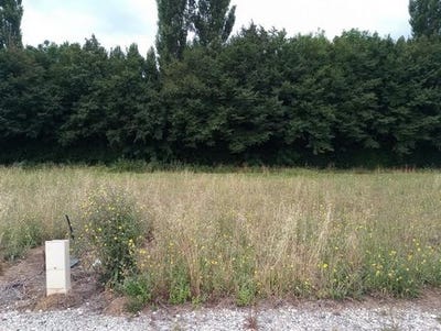 /international/fr/montpellier-de-medillan-charente-310101380411/?lang=zh-cn