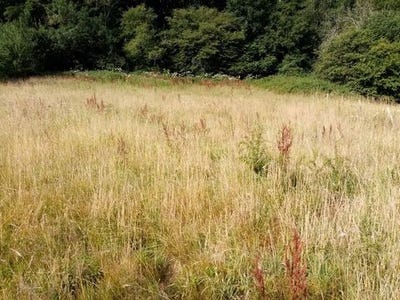 /international/fr/hericourt-en-caux-upper-normandy-310101386263/