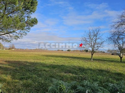 /international/fr/gaillac-midi-pyrenees-120096717467/