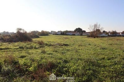 /international/fr/saint-vincent-sur-jard-pays-de-la-loire-120096084625/
