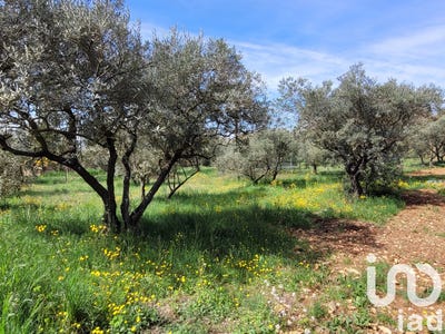 /international/fr/tavernes-provence-alpes-cote-d-azur-310099415771/