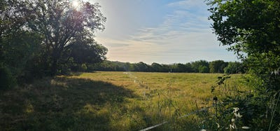 /international/fr/la-capelle-balaguier-midi-pyrenees-310108777357/