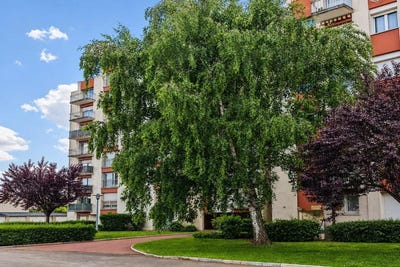 /international/fr/la-riche-centre-val-de-loire-310108104949/
