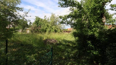 /international/fr/saint-nabor-alsace-310108652020/
