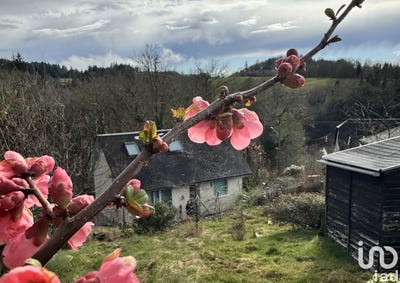 /international/fr/correze-limousin-310100439575/?lang=en