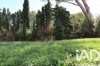 /international/fr/escales-languedoc-roussillon-310104179495/