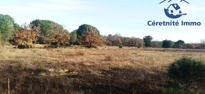 /international/fr/saint-jean-pla-de-corts-languedoc-roussillon-310100610367/