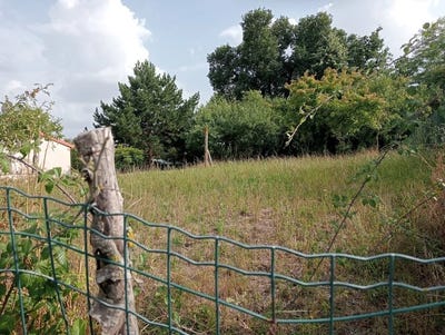 /international/fr/noirlieu-charente-310101108974/