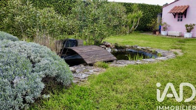 /international/fr/ancone-rhone-310106773456/