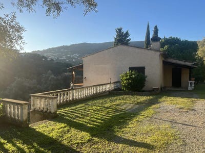 /international/fr/falicon-provence-alpes-cote-d-azur-310099731868/