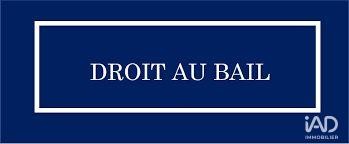 /international/fr/saint-malo-brittany-310103612473/