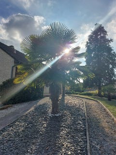 /international/fr/savigne-l-eveque-pays-de-la-loire-310120023167/