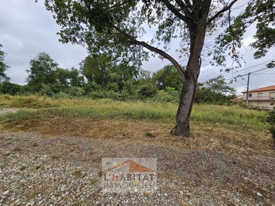 /international/fr/saint-lys-midi-pyrenees-310101133775/