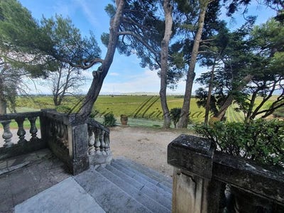 /international/fr/avignon-provence-alpes-cote-d-azur-310101444584/