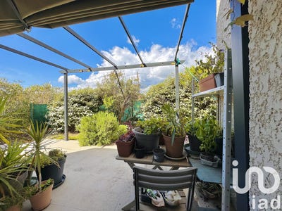 /international/fr/cervione-corsica-310105990917/