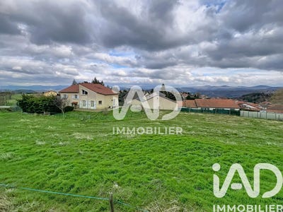 /international/fr/cussac-sur-loire-auvergne-310106164444/