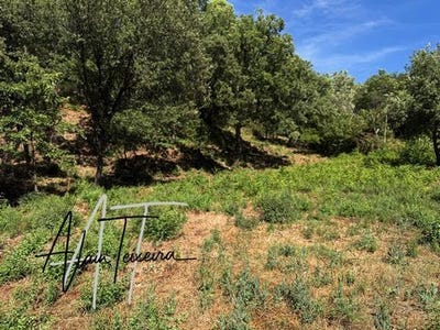/international/fr/taradeau-provence-alpes-cote-d-azur-310120052045/
