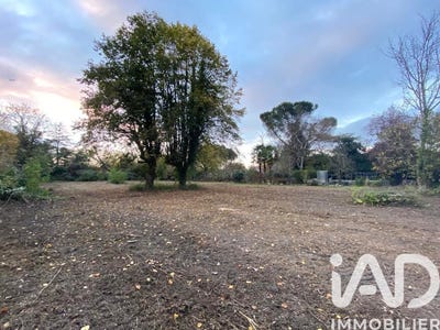/international/fr/tarbes-midi-pyrenees-310105206043/