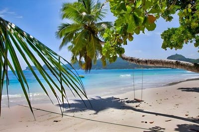 /international/fr/figari-corsica-310105027663/