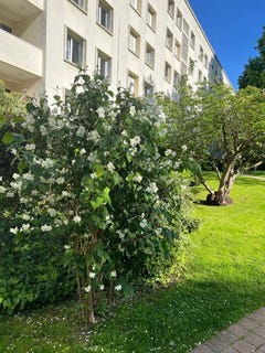 /international/fr/saint-cloud-ile-de-france-310108422994/