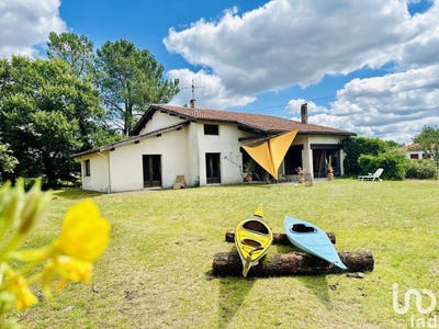 /international/fr/pissos-aquitaine-310097780162/