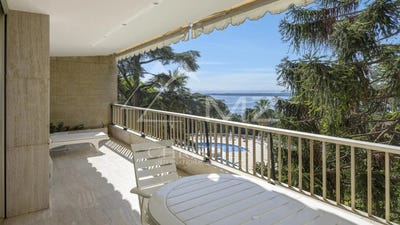 /international/fr/cannes-provence-alpes-cote-d-azur-310120433989/