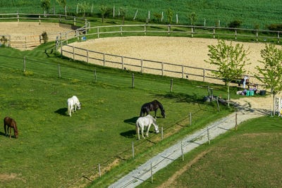 /international/fr/arnac-pompadour-limousin-310098419205/