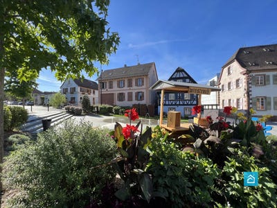/international/fr/truchtersheim-alsace-310106336671/