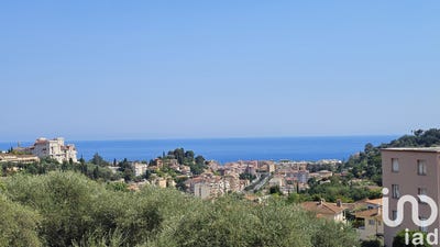 /international/fr/menton-provence-alpes-cote-d-azur-310101015234/