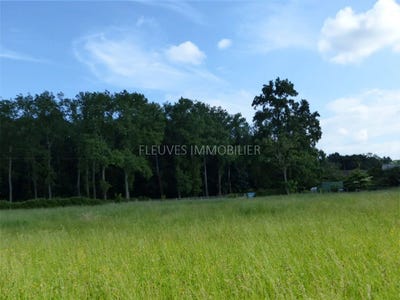 /international/fr/araux-aquitaine-310099656695/