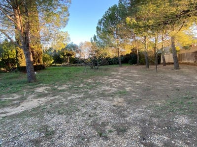 /international/fr/abeilhan-languedoc-roussillon-310107238983/
