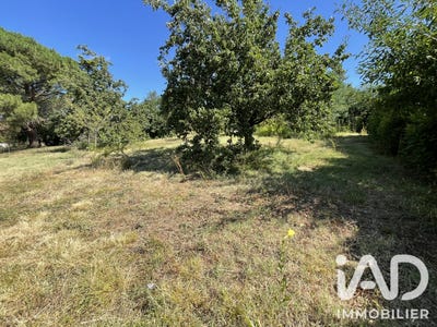 /international/fr/baziege-midi-pyrenees-310109218342/