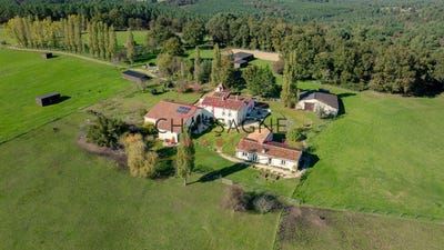 /international/fr/chalais-charente-310106236556/