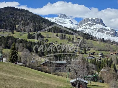 /international/fr/cordon-ile-de-france-310106973533/