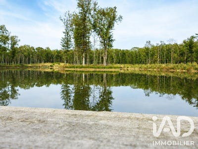 /international/fr/colomiers-midi-pyrenees-310104143596/