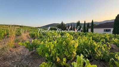 /international/fr/lantignie-rhone-310100830805/