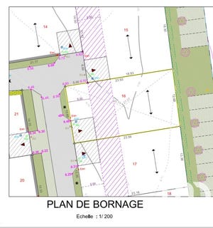 /international/fr/mornac-sur-seudre-charente-310100663767/