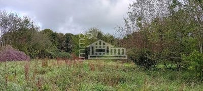 /international/fr/mascaras-midi-pyrenees-310102610175/