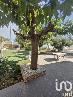 /international/fr/marseillan-languedoc-roussillon-310101206760/?lang=zh-cn