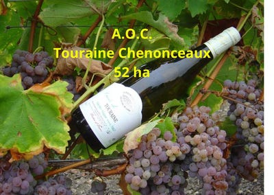 /international/fr/mareuil-sur-cher-centre-val-de-loire-310101497210/