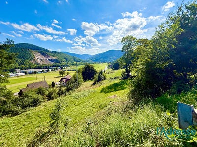 /international/fr/muhlbach-sur-munster-alsace-310104565113/